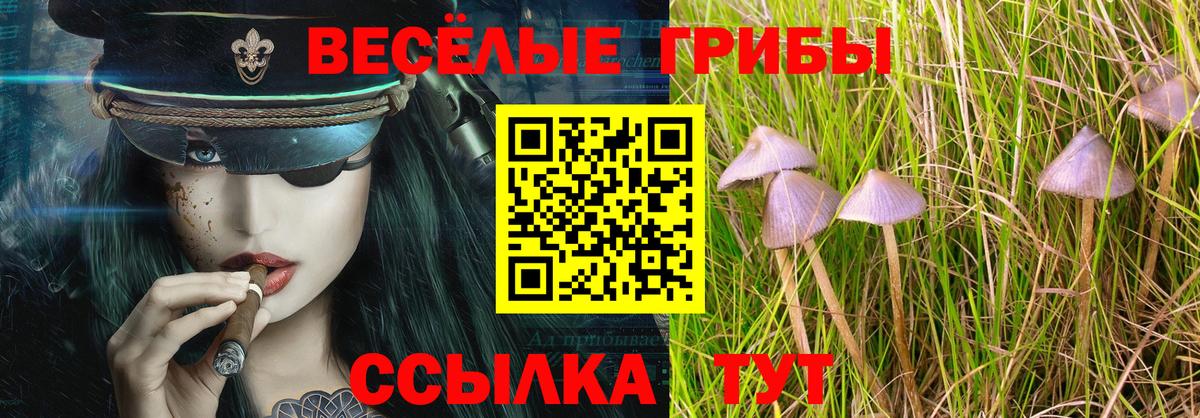 Псилоцибиновые грибы ЛСД  дарнет шоп  Калач-на-Дону  Вход с VPN 